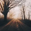 Seasonal - Bryan Minear - A Collection of 1/1 Landscape Photography from the Midwest