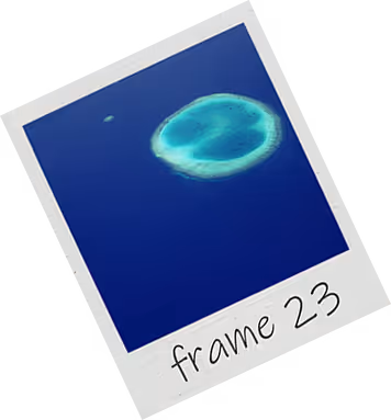 Frame 23