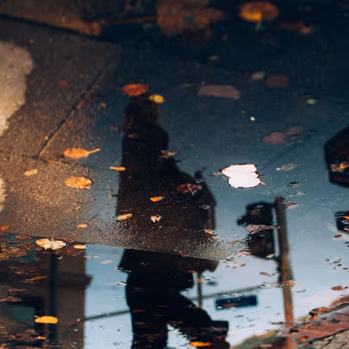 SCATTERED LEAVES LoR Open Edition