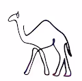 CryptoCamelss