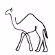 CryptoCamelss