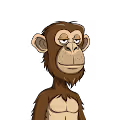 Rissi17 Ape Collection