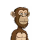 Rissi17 Ape Collection