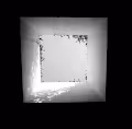 A few good black and whites