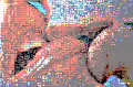 Passionate Pixels