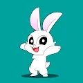 MY LITTLE BUNNY