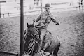 Cowboy Culture