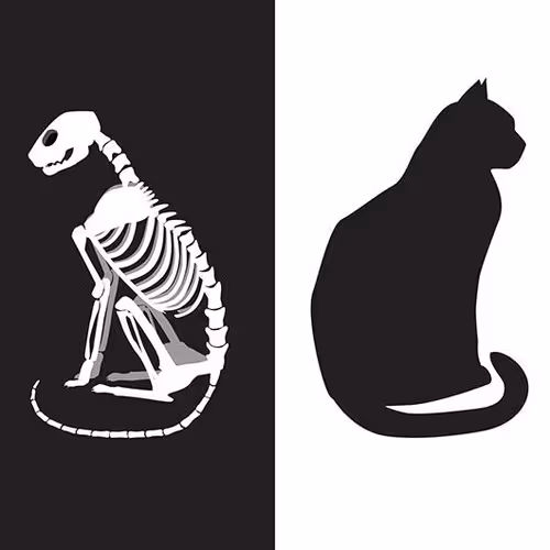 Dinosauarus