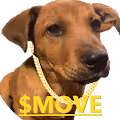 $MOVE Acimaj