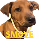 $MOVE Acimaj