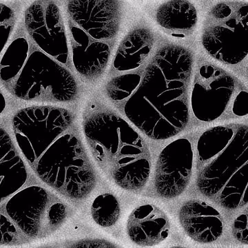 36 Points by Sage Jenson