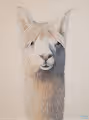 Animals by David Grizzle.