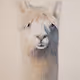 Animals by David Grizzle.