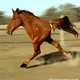 HorsHors