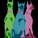 CandyAnimalia - old