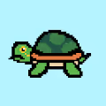 Tiny Turtle