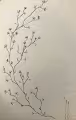 CYPRTOFLORA# - old