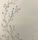 CYPRTOFLORA# - old