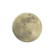 Moon coin collection