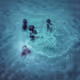 Flowers on the moon