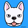 Dodo Doggo - old