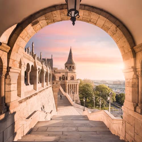 The Artists Cut - II