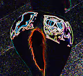 Cycle BodyArt