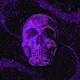 Kassi's Skulls