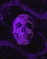 Kassi's Skulls
