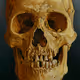 SkullsxSkulls - old