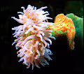 Under Water photography