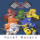 Voxel Racers