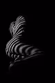 Vertical Curves