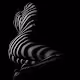 Vertical Curves