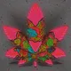 SUPREME Hybrids Cannabis