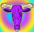BullTrip - old