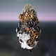 SeedPods by VoizDAO x Neo-Metabolism