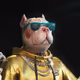 MR Pitbull (Edition)