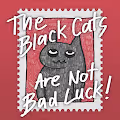 The Black Cats Are Not Bad Luck
