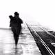 Dark Willow Collection