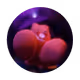 p̷͓̃̐̐́͌̓͛1̶͚̟͇͍͆̽́͠p̶̤̦̻̝͕̺͗̊̉́1̸̹͍̫͈̦̇̓̕͜