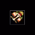 Dae-motions of pain
