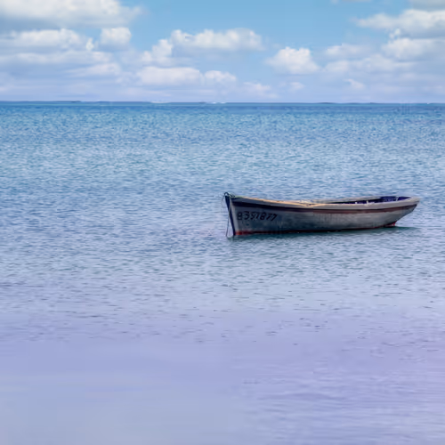 A Walk on the Beach with Eloise Robbertze