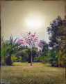 Starseed Landscapes