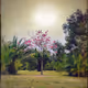 Starseed Landscapes
