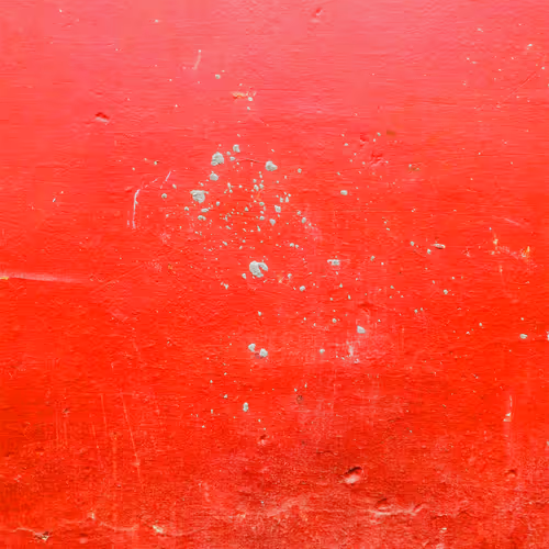 The Wall`s Discourses