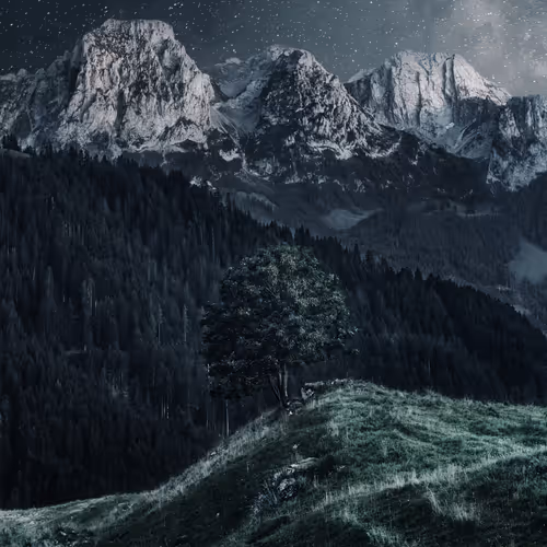 The Darkside Of Switzerland