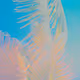 The Color Series