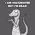 WHATEVER LIZARD
