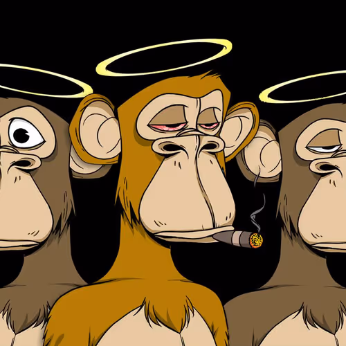 HolySmonkey Collection